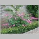 DSC03764.JPG